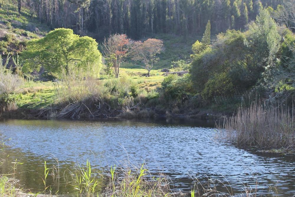Blackwaters River Lodge, Knysna Dış mekan fotoğraf