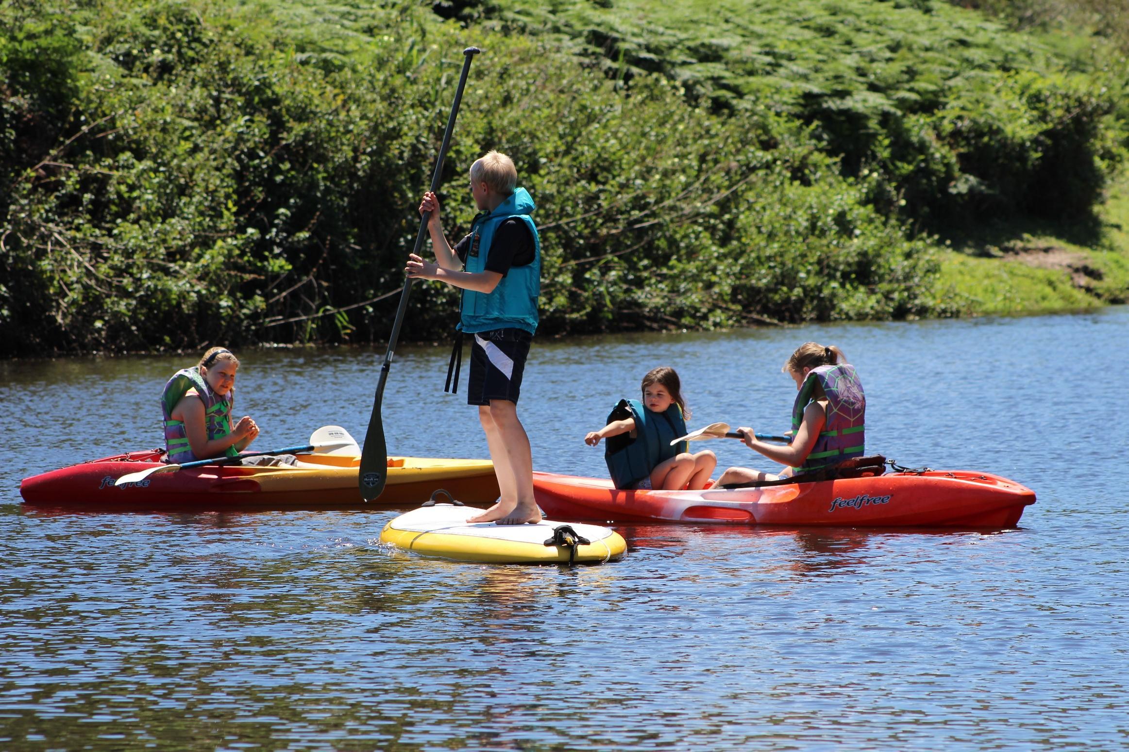 Blackwaters River Lodge, Knysna Dış mekan fotoğraf