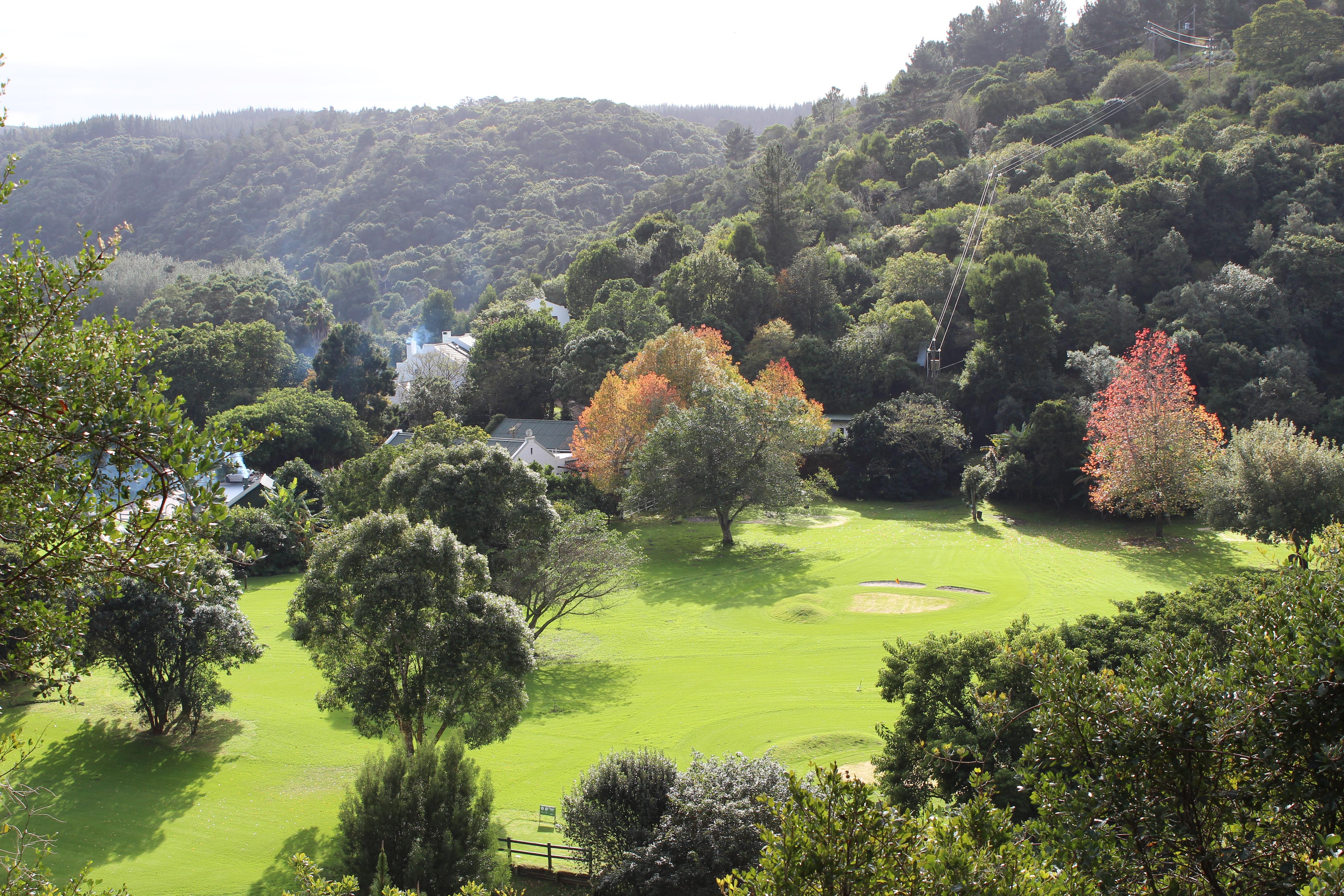 Blackwaters River Lodge, Knysna Dış mekan fotoğraf